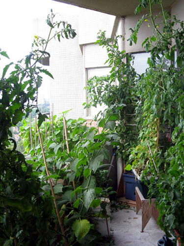 Summer 2011