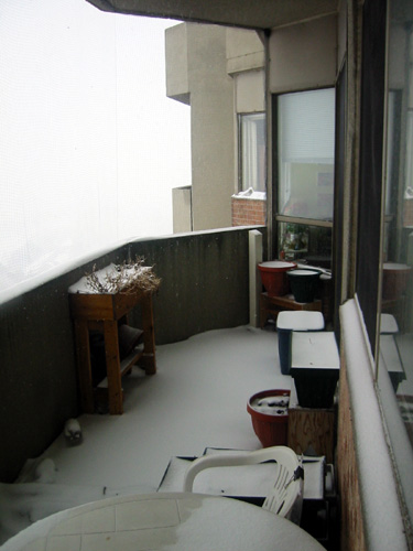 Winter 2007